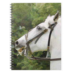 CARNET CHEVAUX