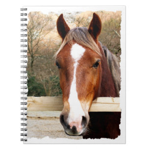 CARNET CHEVAUX