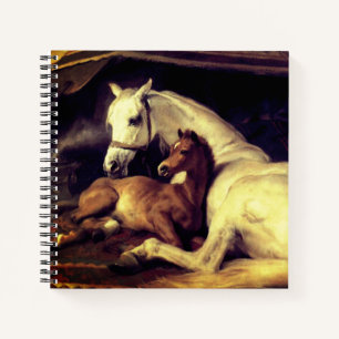 Carnet Chevaux d'atterrisseur
