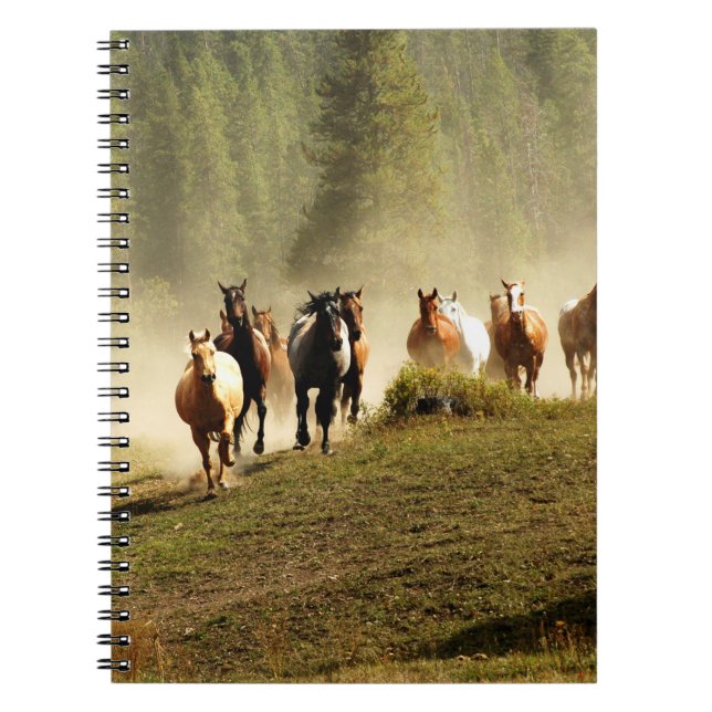 Carnet Chevaux de course dans le ranch du Montana (Devant)