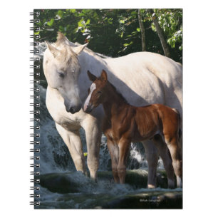 Carnet Chevaux d'imaginaire : Cascade