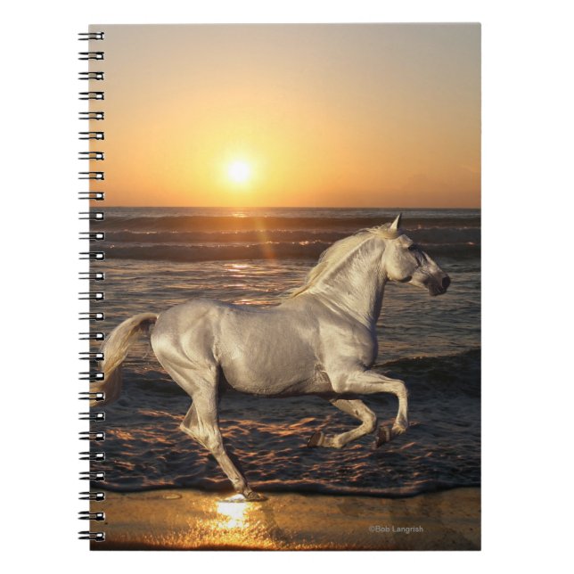 Carnet Chevaux d'imaginaire : Coucher du soleil (Devant)