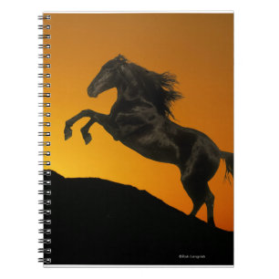 Carnet Chevaux d'imaginaire : Coucher du soleil de