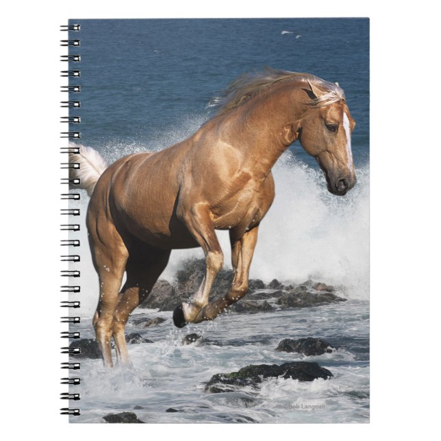 Carnet Chevaux d'imaginaire : Éclaboussure d'été (Devant)
