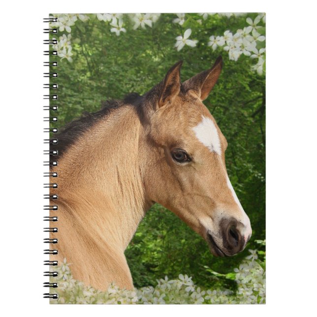 Carnet Chevaux d'imaginaire : Fleurs (Devant)