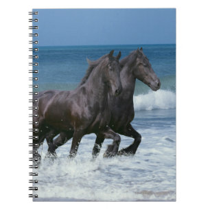 Carnet Chevaux d'imaginaire : Frisons et mer