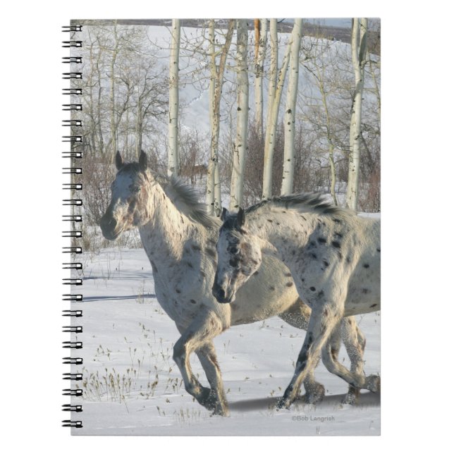 Carnet Chevaux d'imaginaire : Le pays des merveilles (Devant)