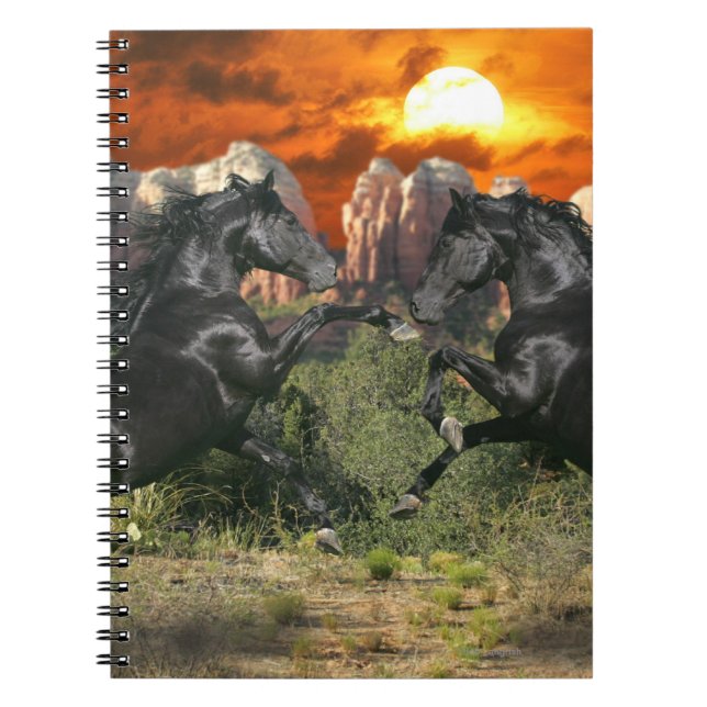 Carnet Chevaux d'imaginaire : Magie noire (Devant)
