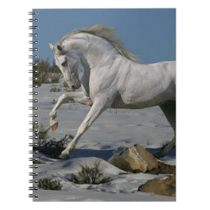 Carnet Chevaux d'imaginaire : Roi de neige