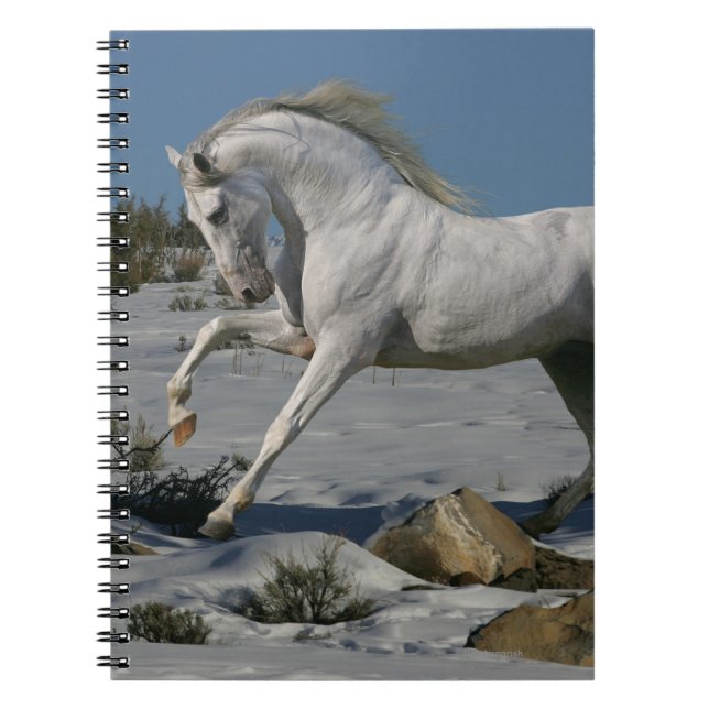 Carnet Chevaux d'imaginaire : Roi de neige (Devant)