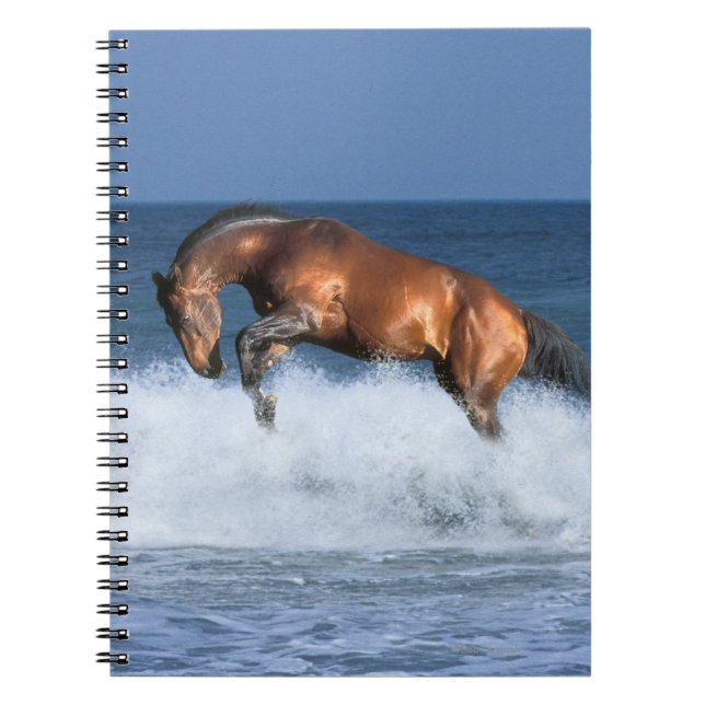 Carnet Chevaux d'imaginaire : Selle Francais et mer (Devant)