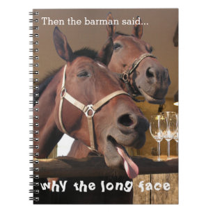Carnet Chevaux drôles