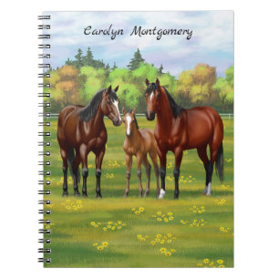 Carnet Chevaux Du Quartier De La Baie Brown Dans Les Pâtu