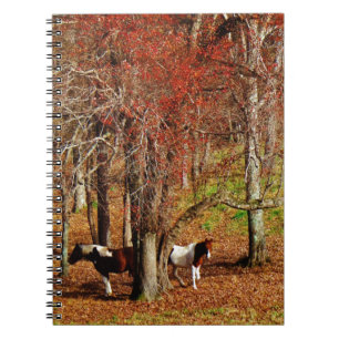 Carnet Chevaux jumeaux Brown et blancs