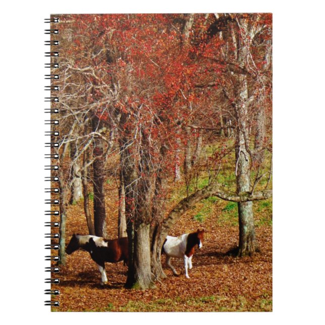 Carnet Chevaux jumeaux Brown et blancs (Devant)