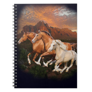 Carnet chevaux sauvages