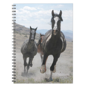 Carnet Chevaux sauvages de l'Utah courant
