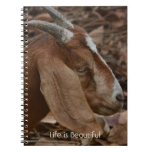 Carnet Chèvre blanche marron Kauai (ma photographie)