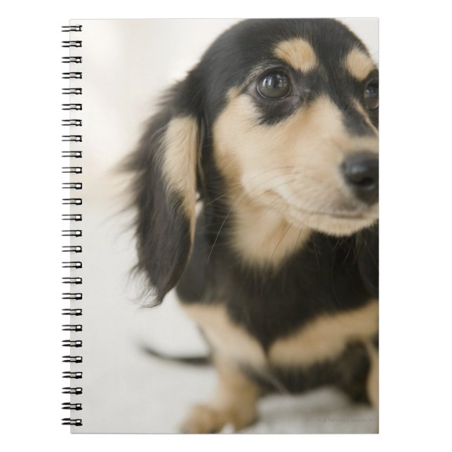 Carnet Chien (Devant)