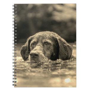 Carnet Chien
