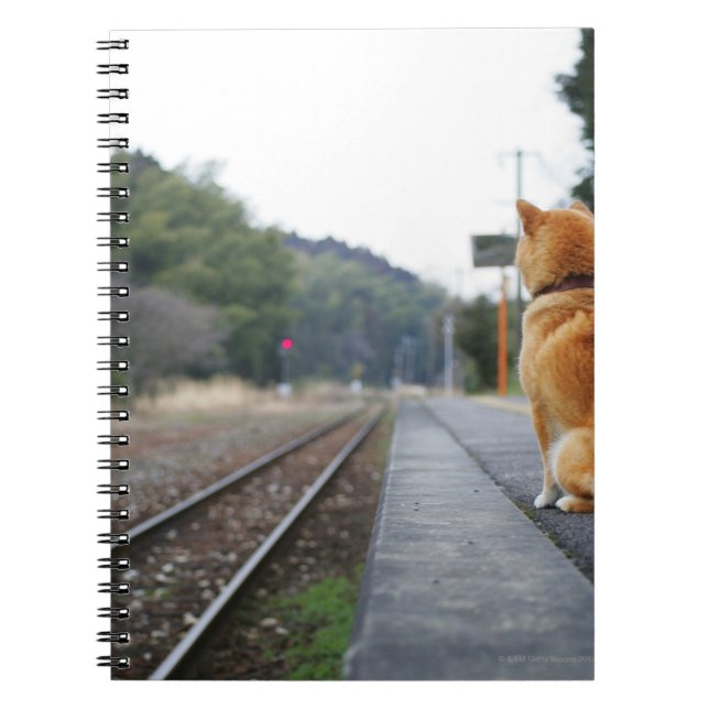 Carnet Chien assis à la gare (Devant)