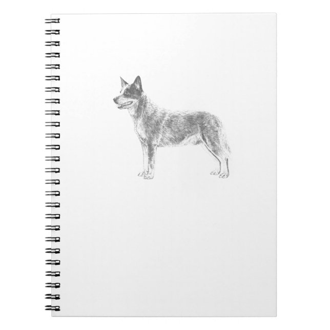 Carnet Chien australien de bétail (Devant)