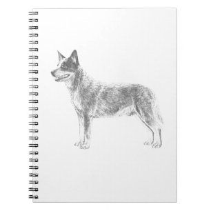 Carnet Chien australien de bétail