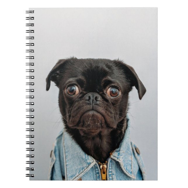 Carnet chien d'affaires (Devant)