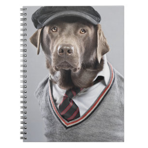 Carnet Chien dans le chandail et le casquette