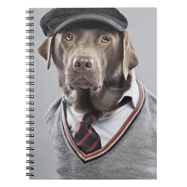 Carnet Chien dans le chandail et le casquette (Devant)