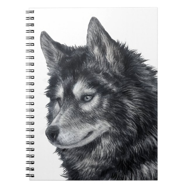 Carnet Chien de Balto (Devant)