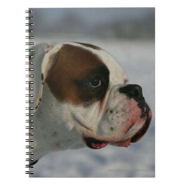 Carnet Chien de boxeur dans la neige (Devant)
