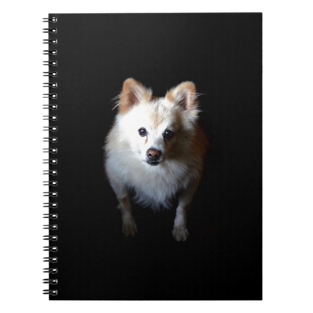 Carnet Chien de Poméranie en noir (Devant)