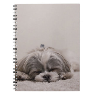 Carnet Chien dormant Shih tzu