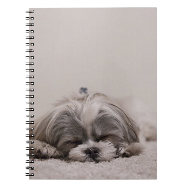 Carnet Chien dormant Shih tzu (Devant)