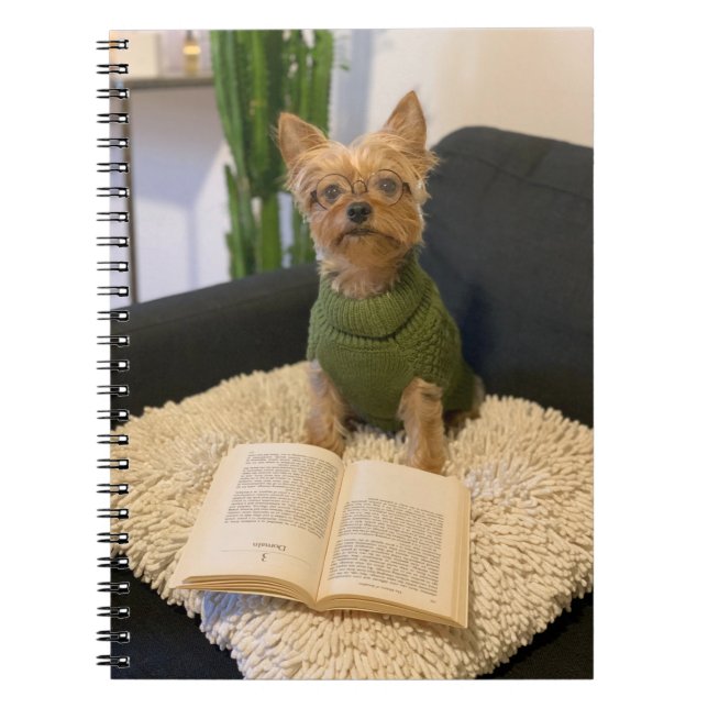 Carnet Chien du Yorkshire Terrier (Devant)