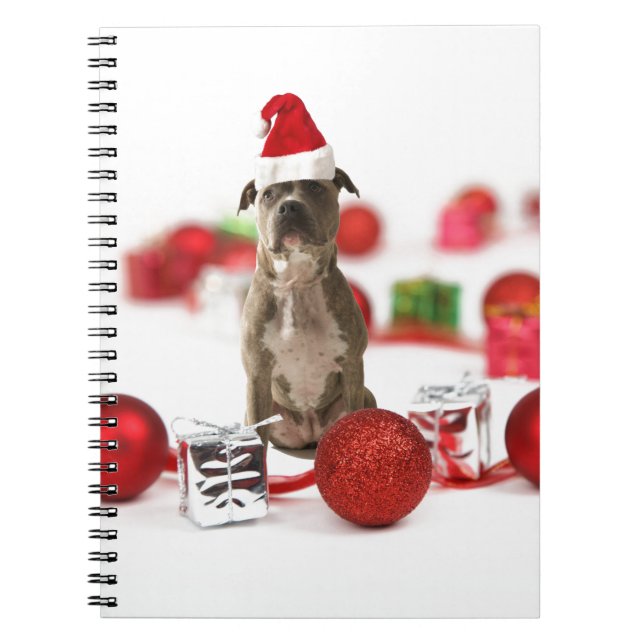 Carnet Chien taureau avec boîte cadeau et ornements de No (Devant)