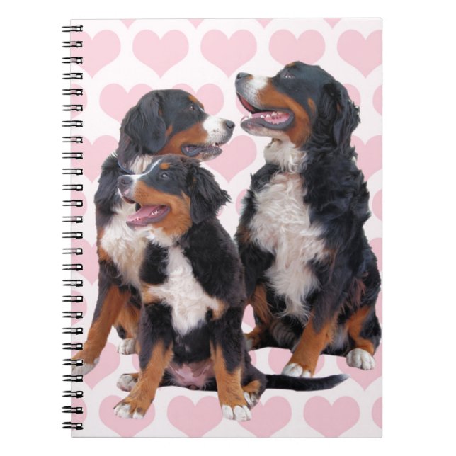 Carnet Chiens de montagne bernois aux coeurs roses (Devant)