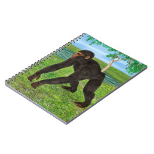 Carnet Chimpanzé