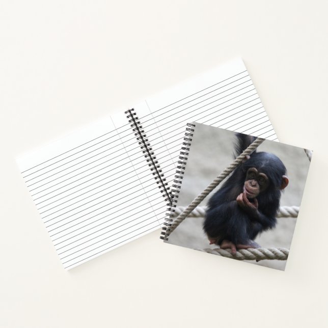 Carnet Chimpanzé 030 (Intérieur)