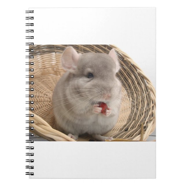 Carnet chinchilla (Devant)