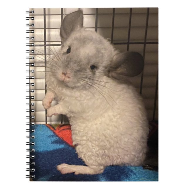 Carnet chinchilla (Devant)