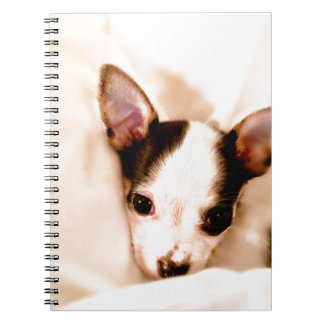 Carnet Chiot
