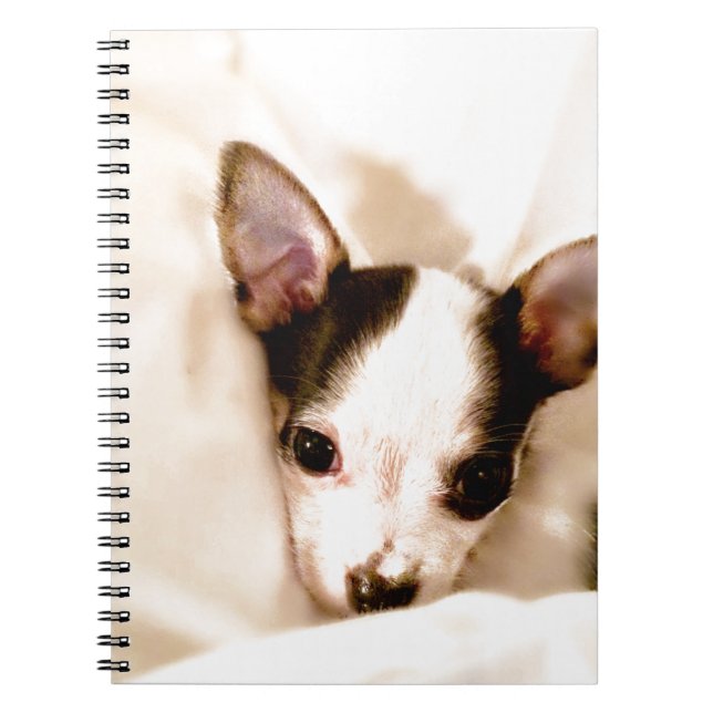 Carnet Chiot (Devant)