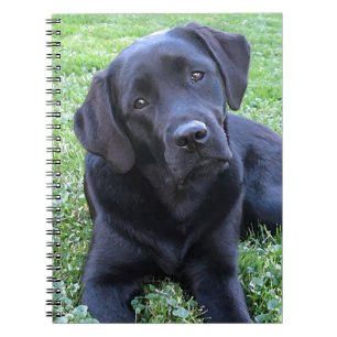 Carnet Chiot Amoureux des chiens du Labrador noir