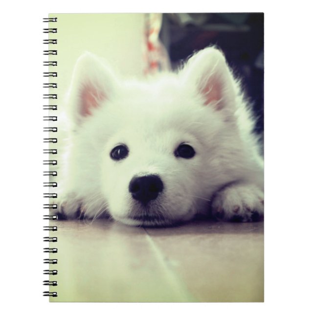 Carnet Chiot blanc (Devant)