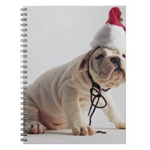 Carnet Chiot de bouledogue utilisant le casquette de Pèr