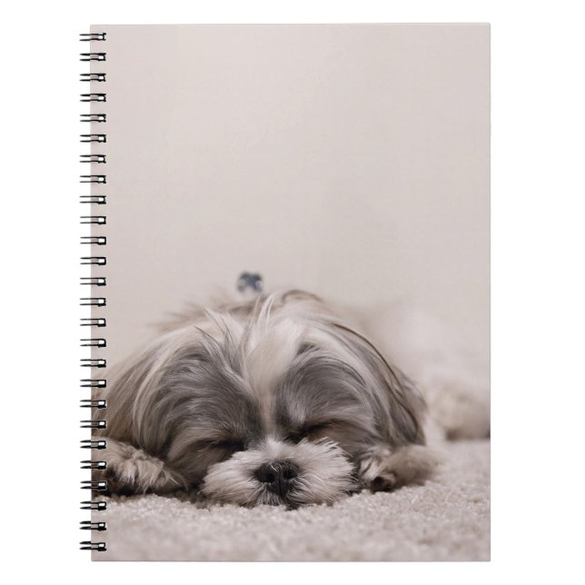 Carnet Chiot endormi (Devant)