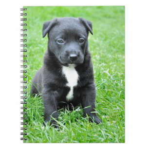 Carnet Chiot totalement adorable