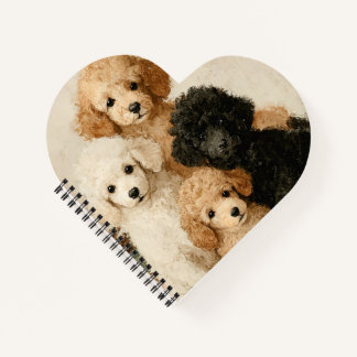 Carnet Chiots Caniches